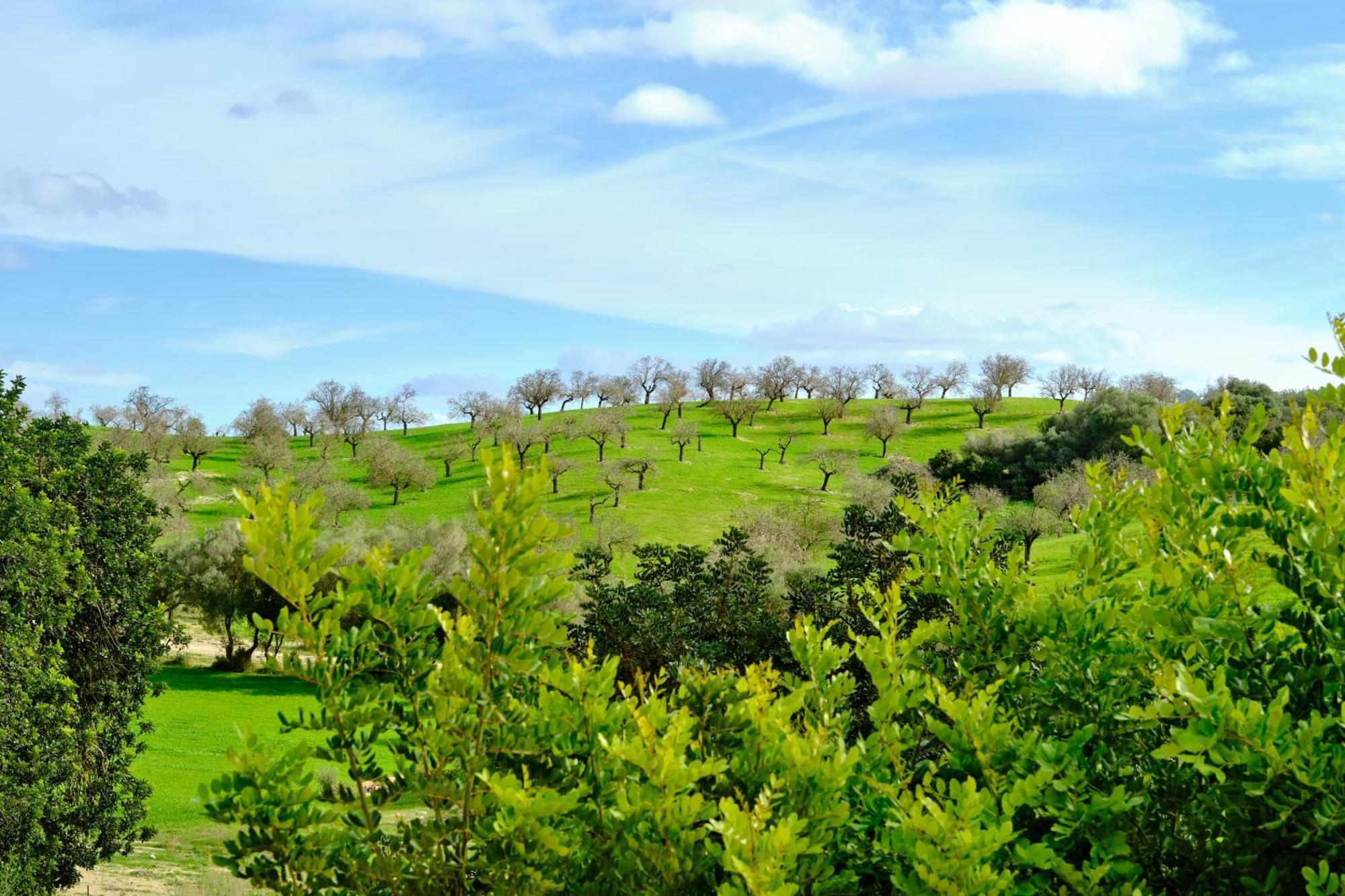 Finca Sa Bastida Luxury Retreat & Spa Adults Only Sant Joan Kültér fotó