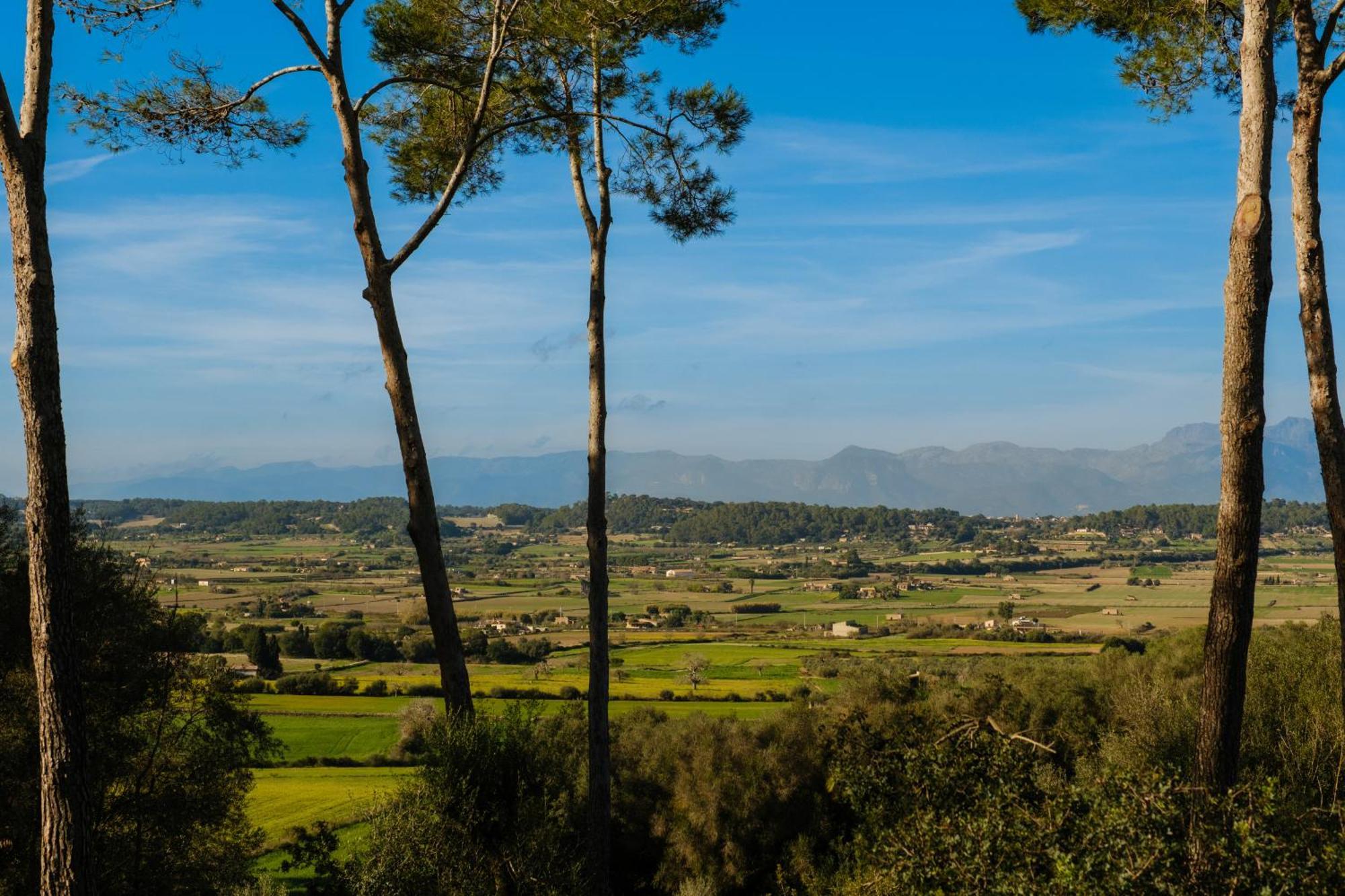 Finca Sa Bastida Luxury Retreat & Spa Adults Only Sant Joan Kültér fotó
